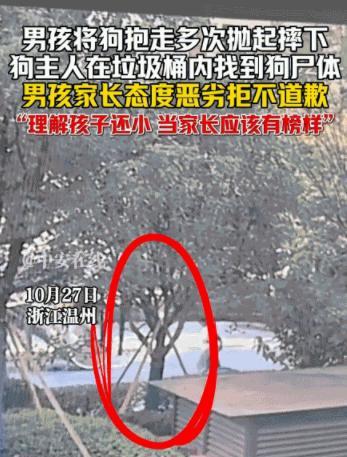 近日，浙江温州，一女子带着小宠物狗出门遛弯，由于未给小狗拴绳，小狗跟在女子的身后