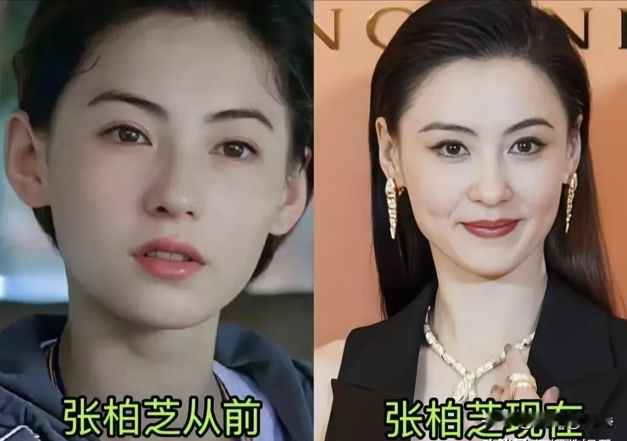 张柏芝、李若彤、洪欣、李赛凤、杨丽菁、胡慧中，这六位可都是当年港圈和内地影坛的绝