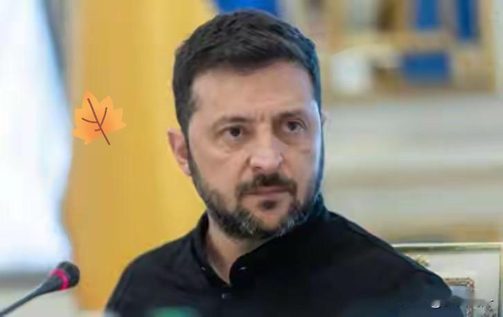 乌克兰消息！12月11日，乌克兰总统泽连斯基突然放话，凡是涉及割地的和平协议，