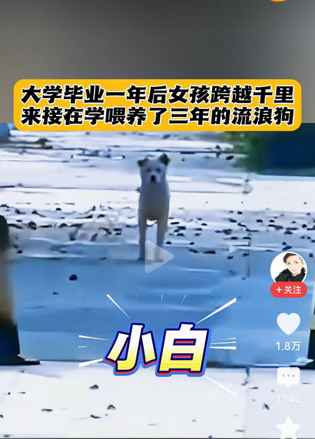 一句“我来带你回家”，感动了无数人，也让我瞬间泪目！大学女生上大