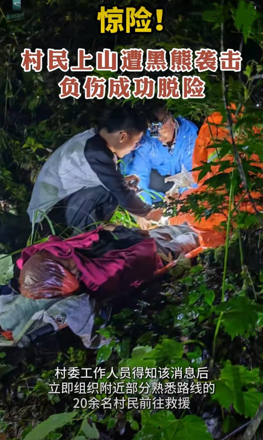 重庆城口县高楠镇的深山里，一位村民像往常一样背着竹篓进山采菌子。山雾还未散尽，他