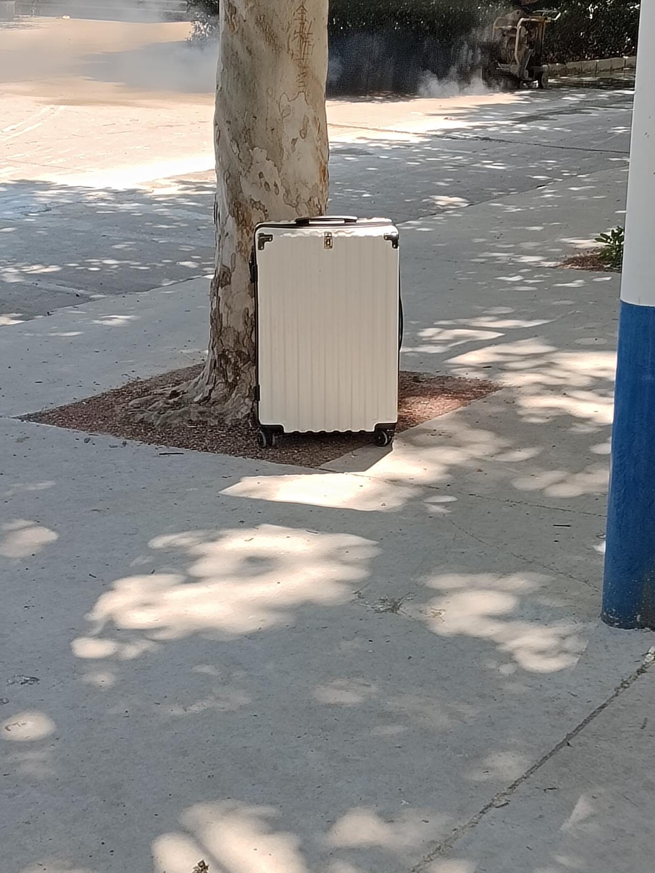 这什么机器？像是给路面刨光打磨。以前没见过，你见过么？