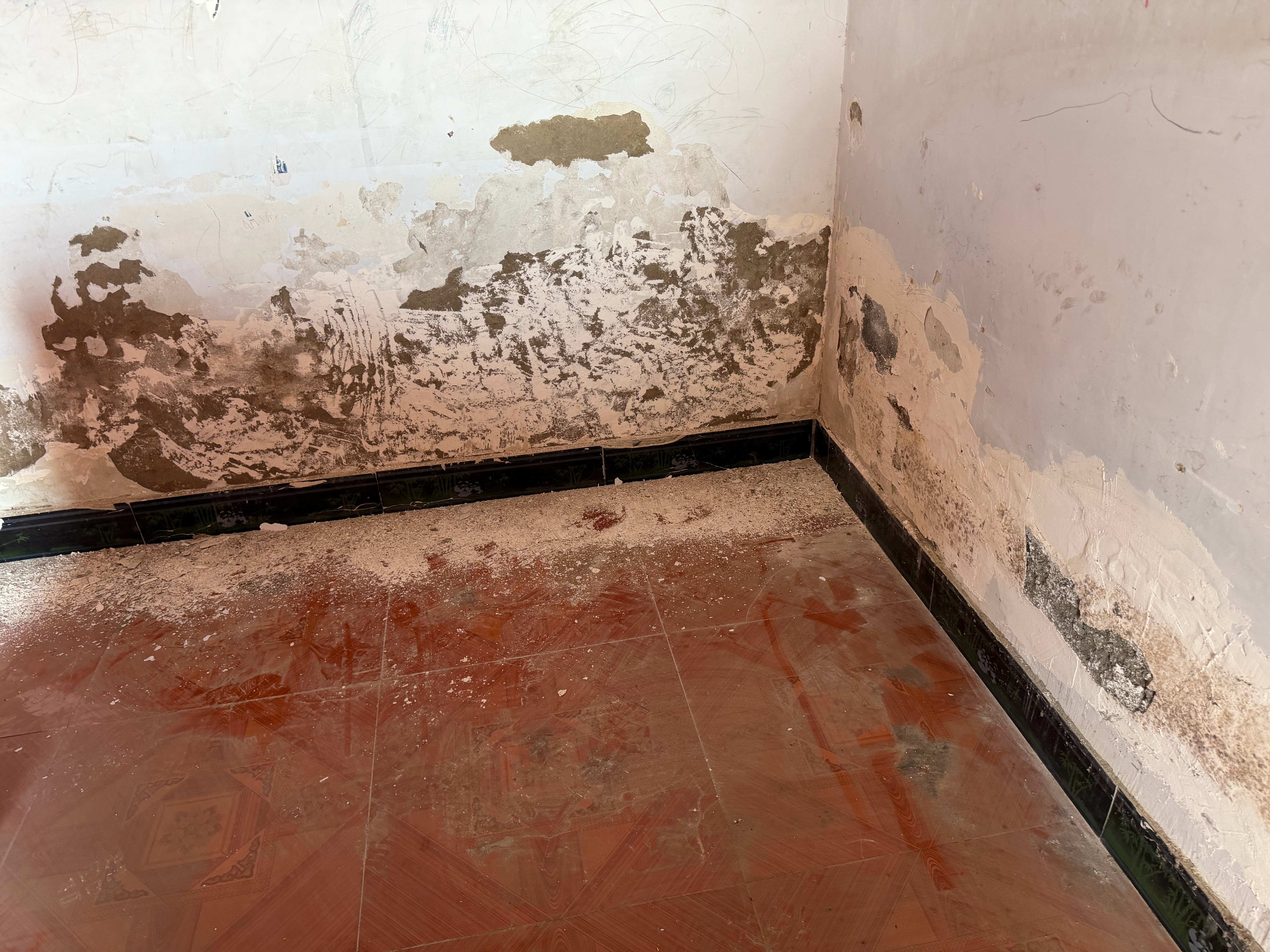 房间室内墙体起皮，最后听装修表哥的话，装上了护墙板