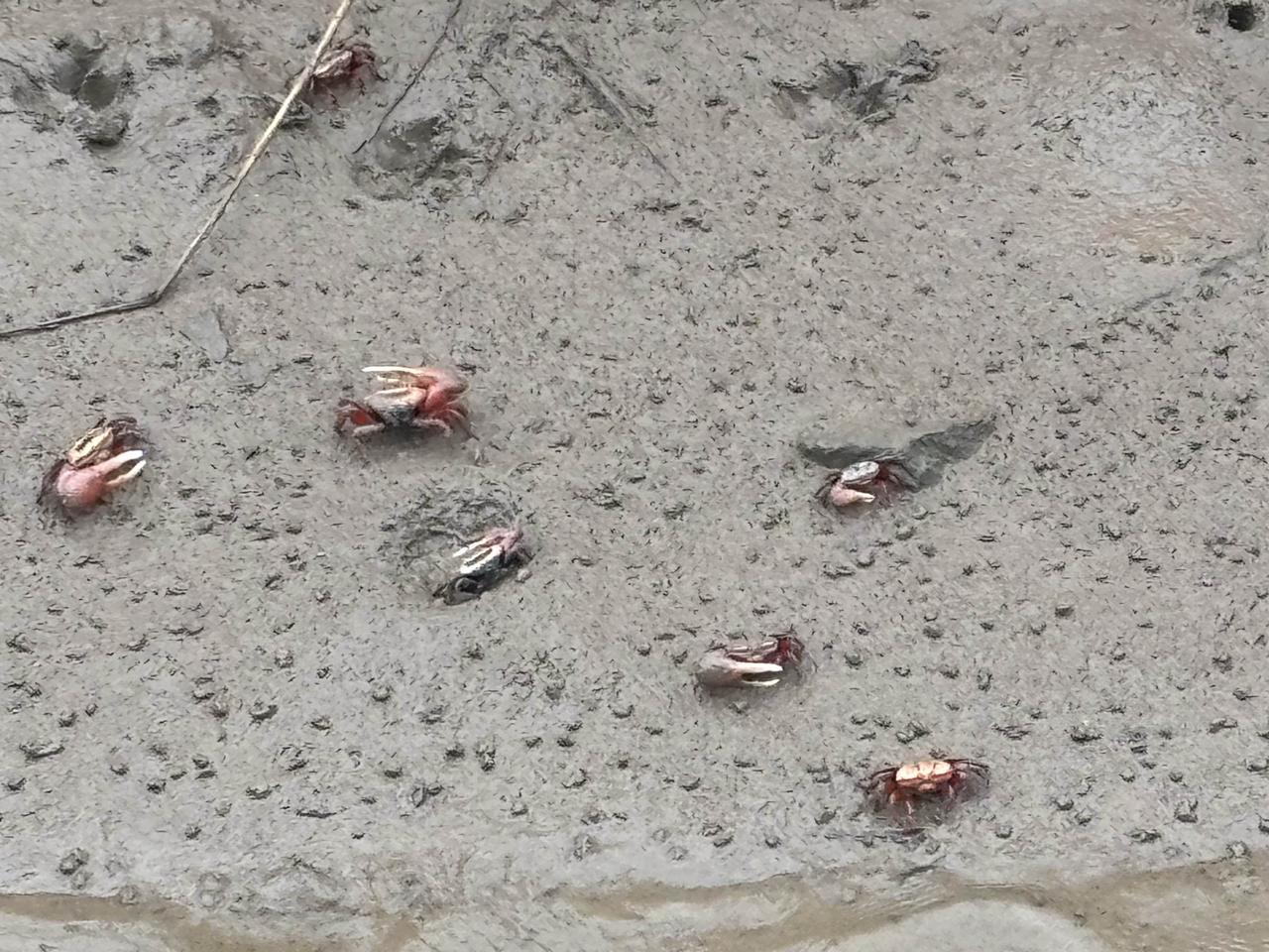 2026年中国股市几条主线？2026年A股核心主线可归纳为5条，兼顾机构共