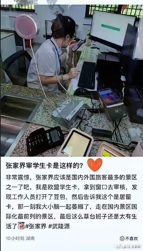 原来是海龟，现在都是水龟