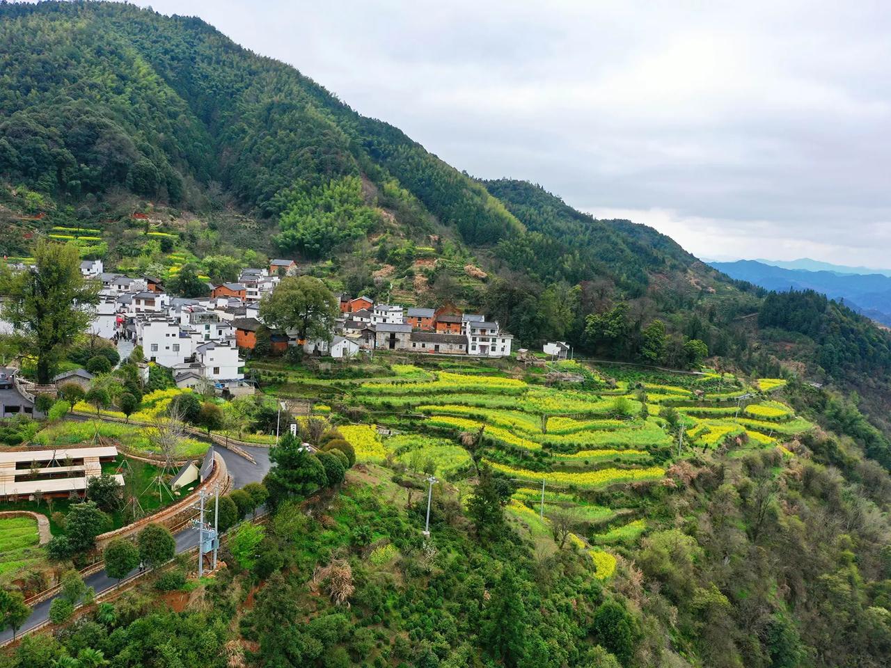 亲戚家的孩子研究生毕业后，打算到南京工作，询问我南京哪些体制内单位待遇较好。我