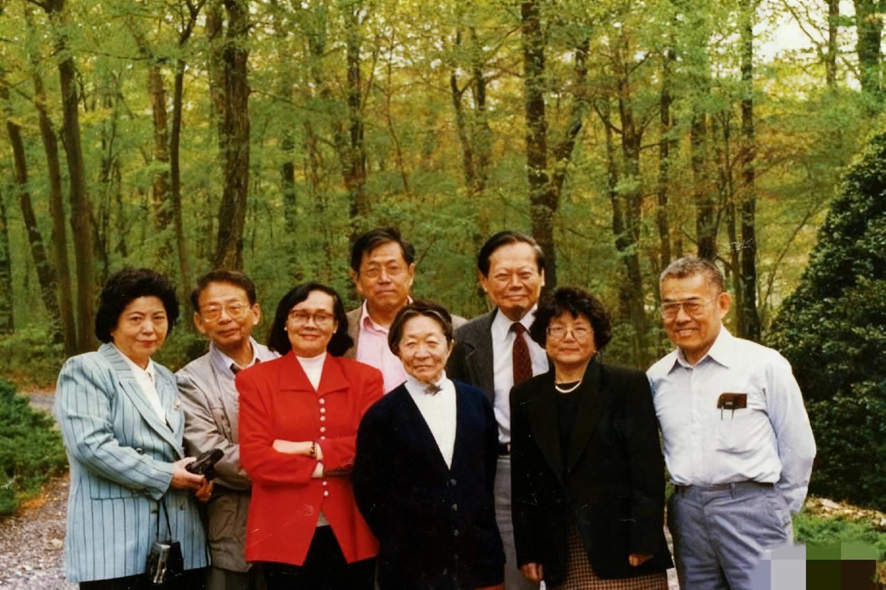 1997年,杨振宁带着妻子杜致礼,和自家三兄妹连同配偶凑一块儿,拍了张特温馨的合