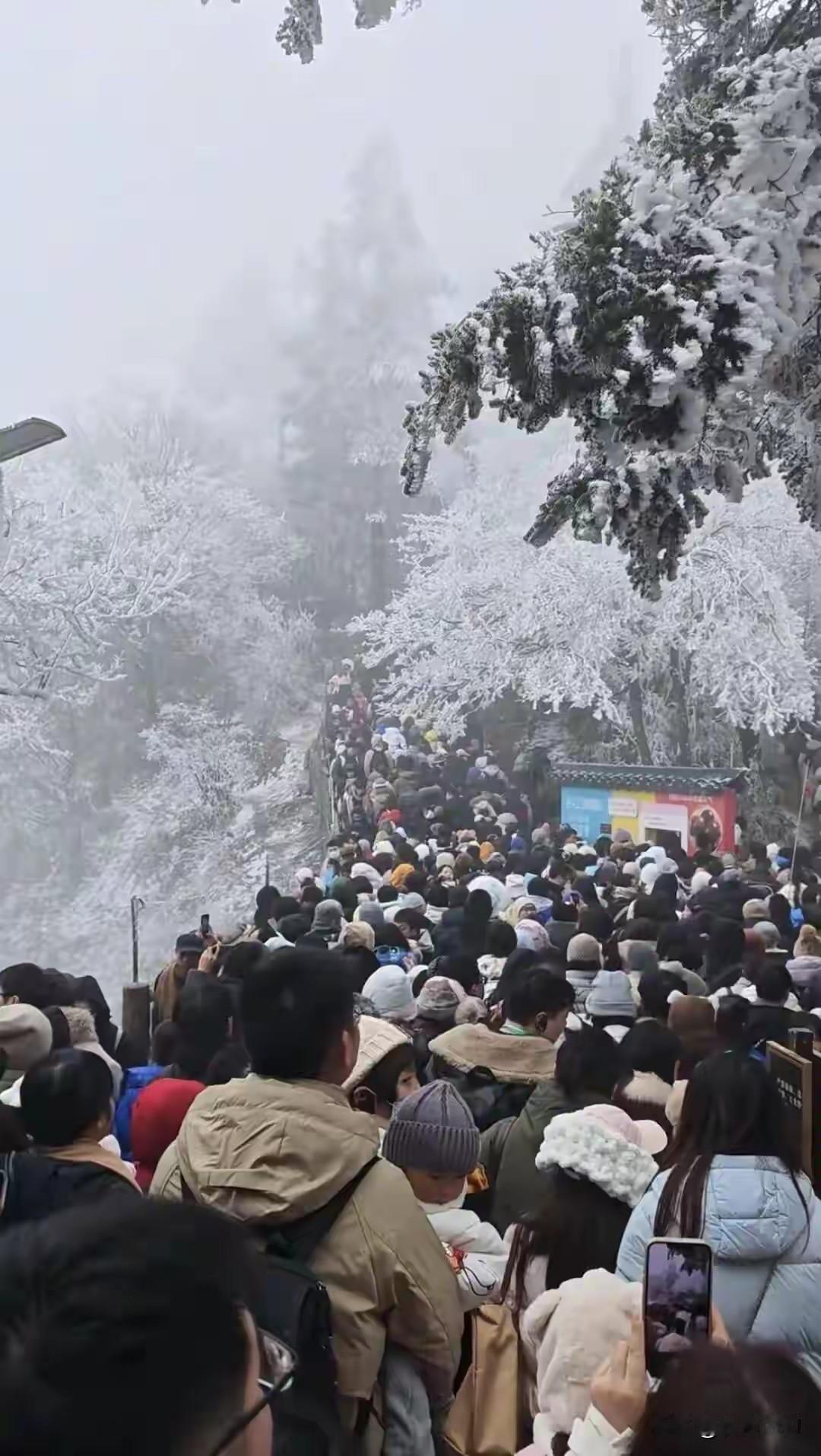 哇塞，元旦那日，曝四川峨眉山金顶的雾凇很美，观雾凇人员挤爆，不敢多逗留，而下行索