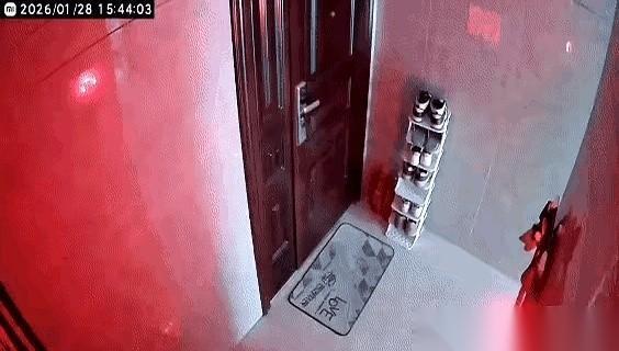 啪！一个鸡蛋，不偏不倚，正中窗外那个“人”的脑门。黄色的蛋液顺着惨白的“脸”往