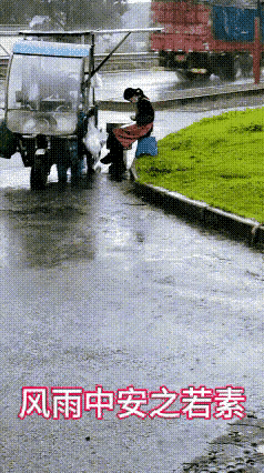 这一幕，真的让人心里不是滋味！大雨哗哗下，路边摆摊的大姐却跷着二