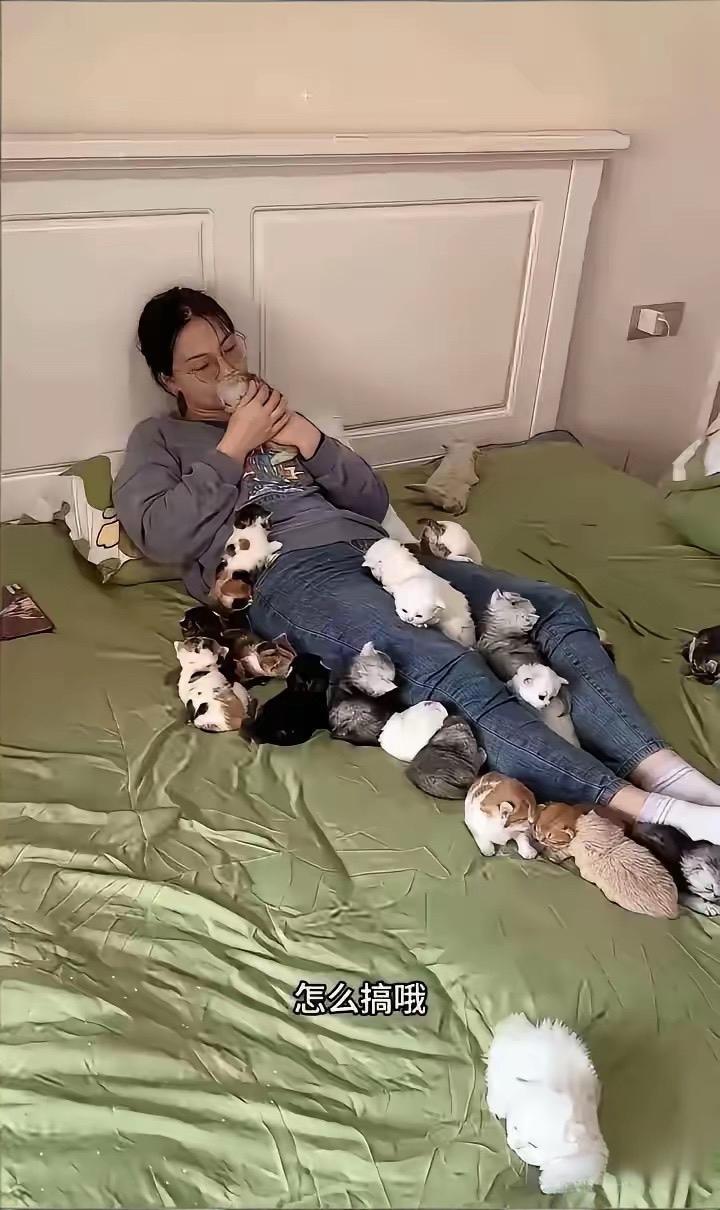 这也太爱动物了吧