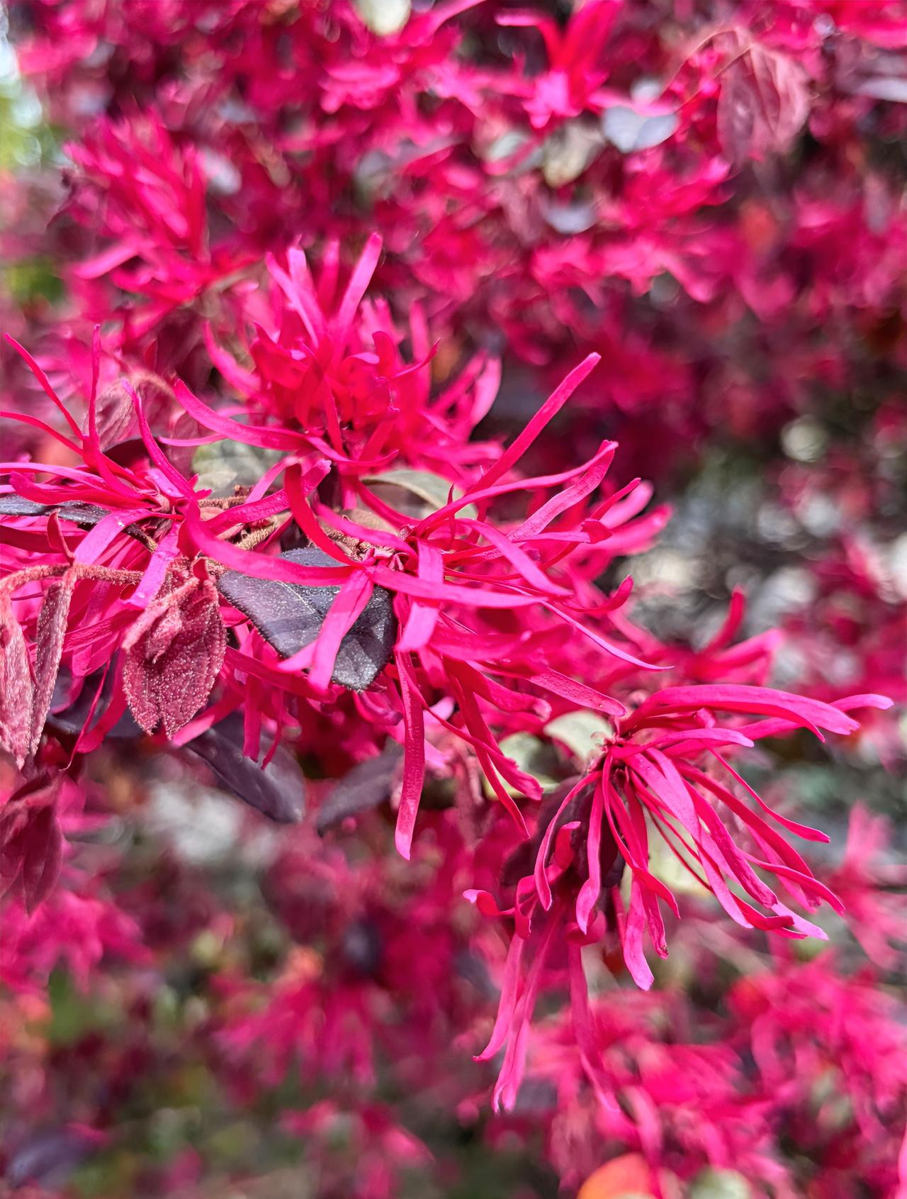 我发现一件很有意思的事。一个人有没有编制、是不是公务员，很大程度上决定了你在