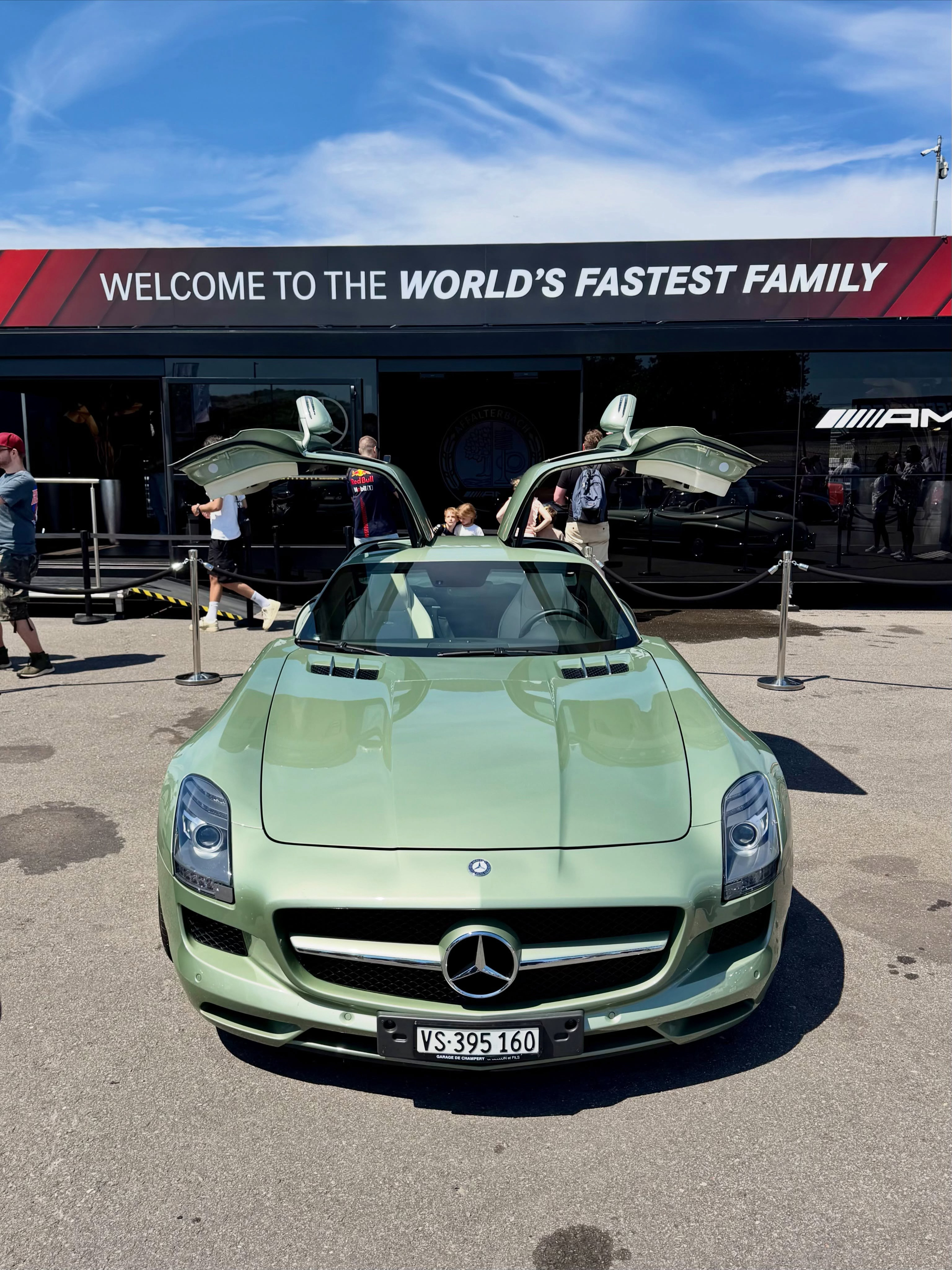 MercedesAMGSLS1/1油漆：Nelkengrün