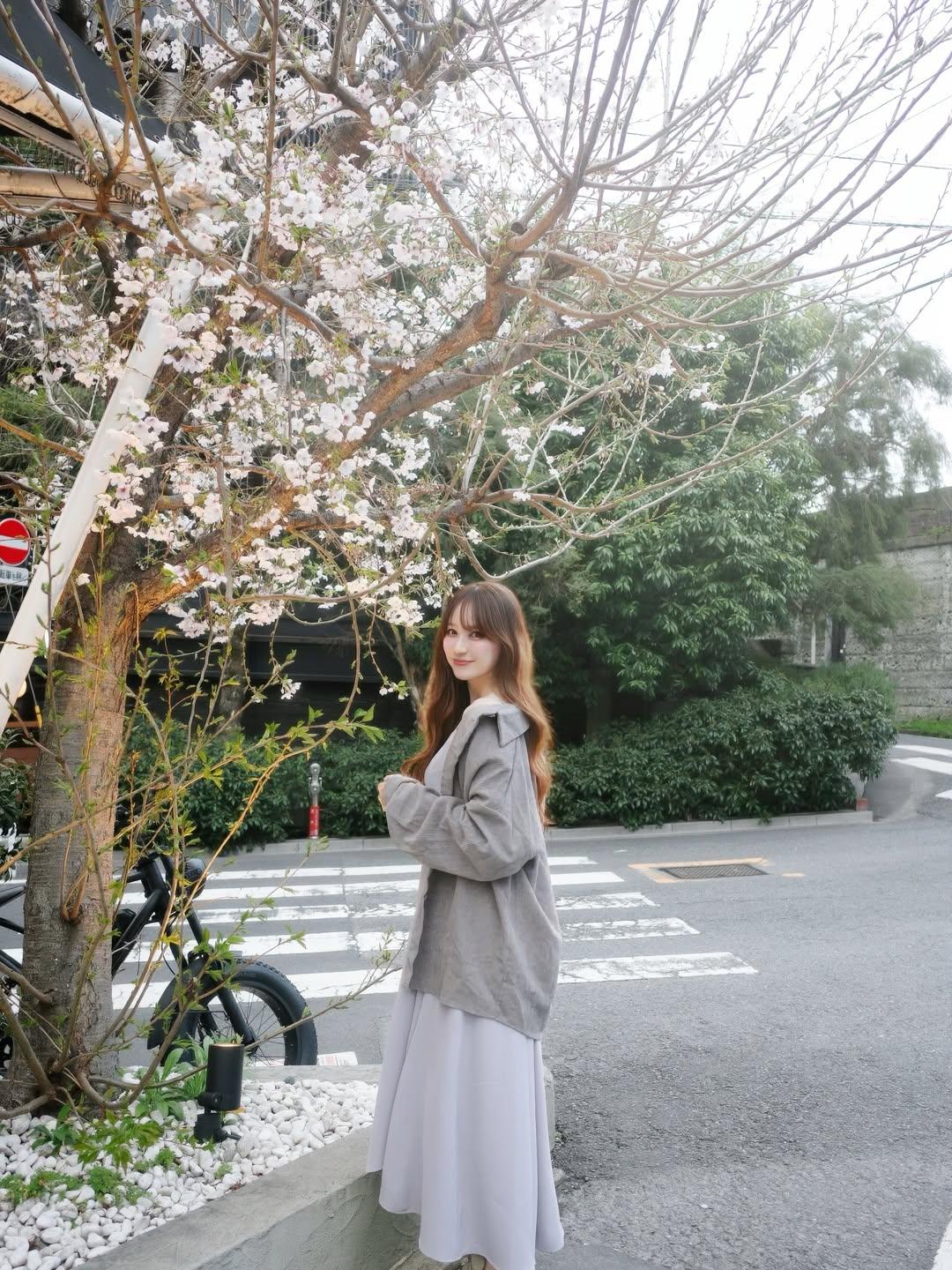 我手机里存了好多海棠花的照片。之前去成都棠湖公园，那里5000余株海棠花开得正盛