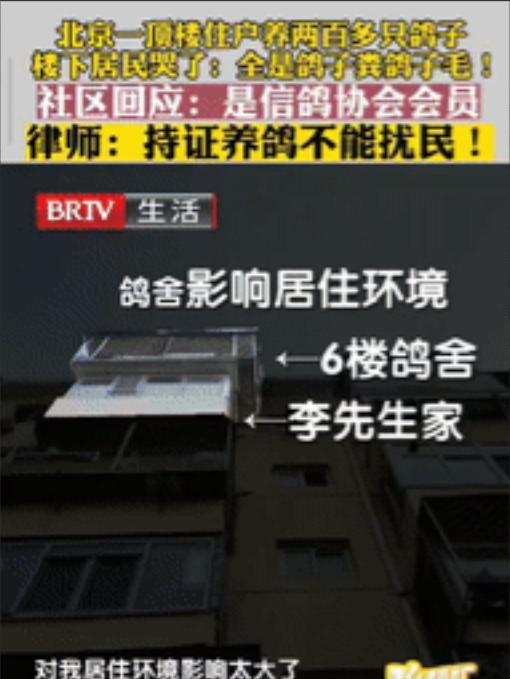 2025年6月，北京一起民事纠纷让人开了眼，够缺德的！男子花235万元买套房子，