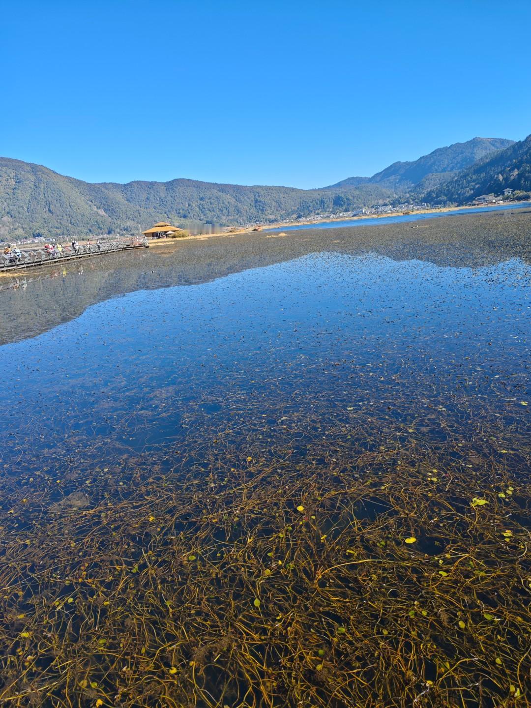 职场上不能犯贱——相信自己没退休前，由于自己学历不高，干什么事都感觉自己