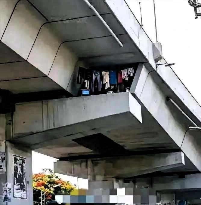 几百平免费桥洞住满了，没住上的都眼红2026年5月24日，网上一段几百平方米
