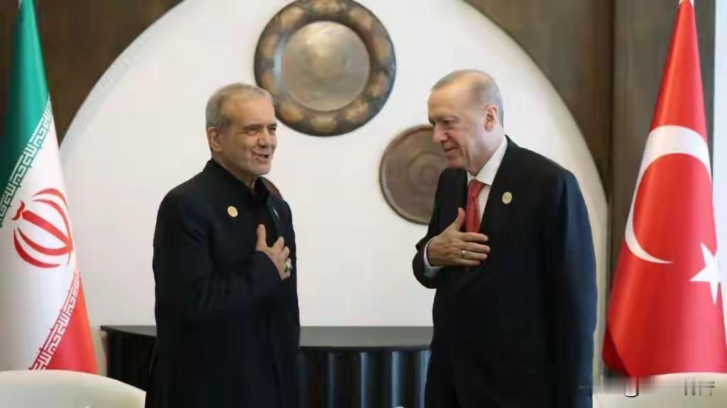 土耳其会帮助伊朗打击以色列？目前土耳其为何显示自己是伊斯兰世界的政治枢纽作用，正