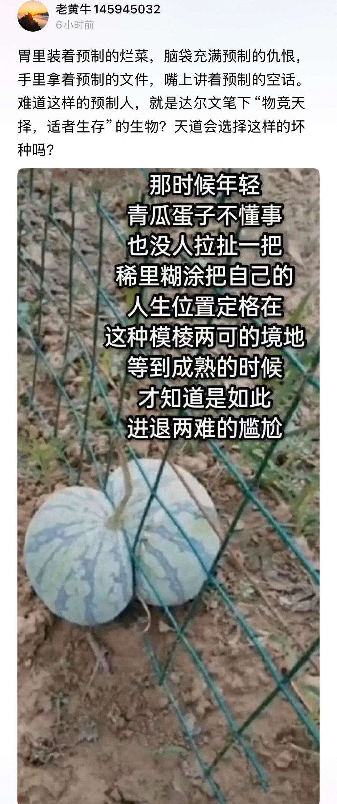 [捂脸哭]​​​
