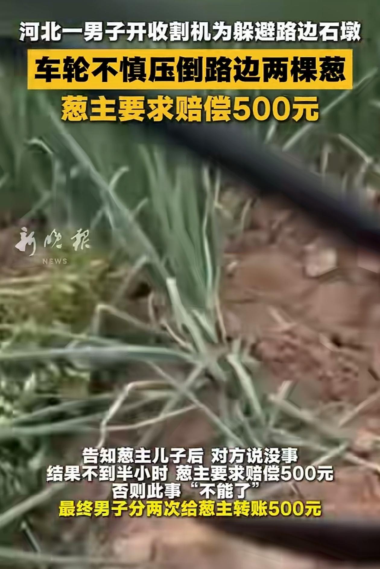 “狮子大开口？”河北，男子为了躲避田边的石墩子，拖拉机的轮胎不小心压倒了路边2颗