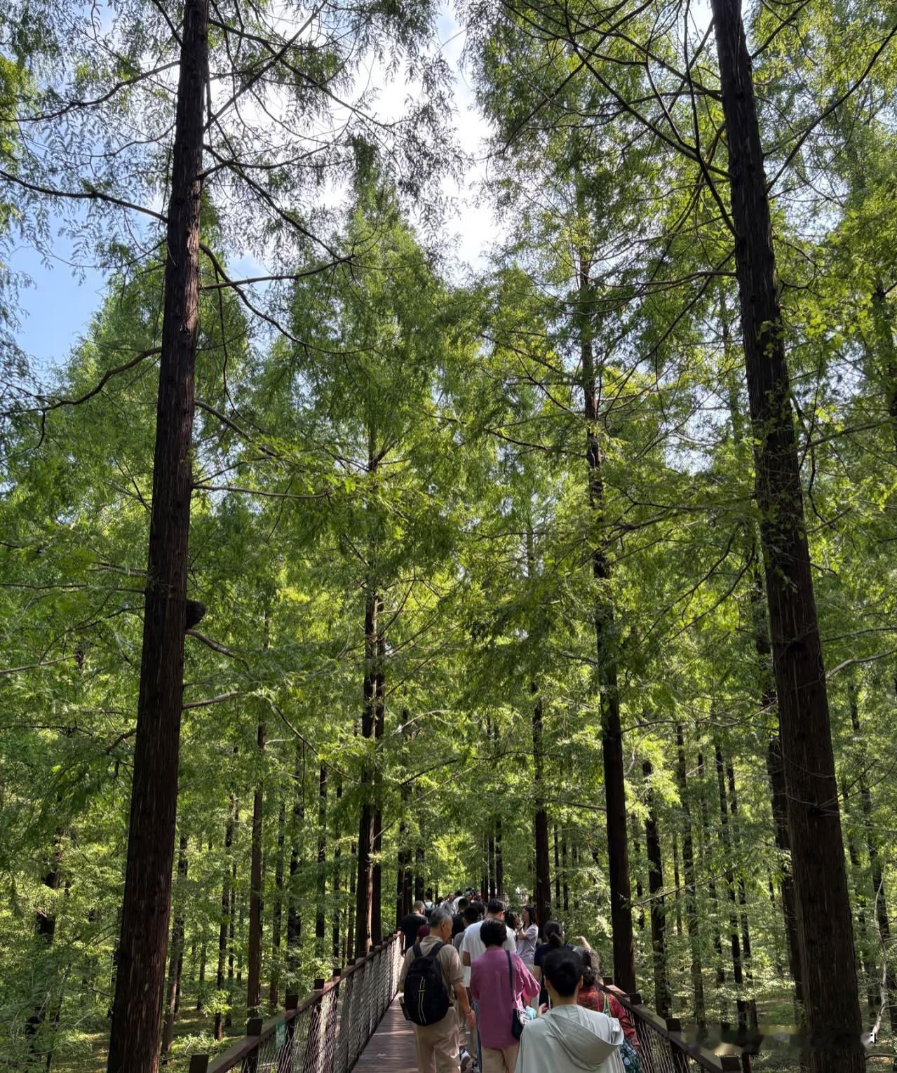 国庆5天盐城遛娃之旅圆满结束，全程跟着预设主线走，结果远超预期——非常好！尤其适