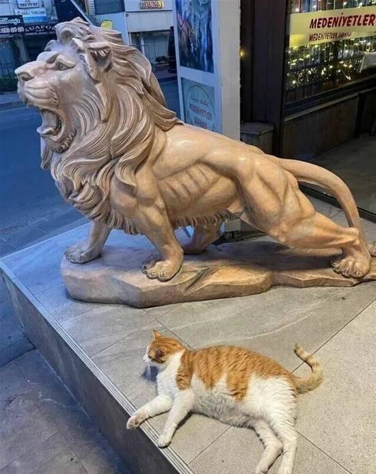 搞笑图片：​​​