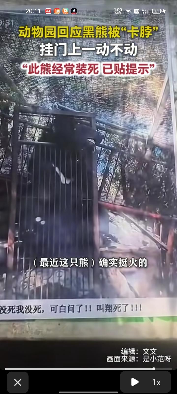 10月8日，山东临沂。网友发视频称，动物园里黑熊被“卡脖”，挂在门上一动不动，有