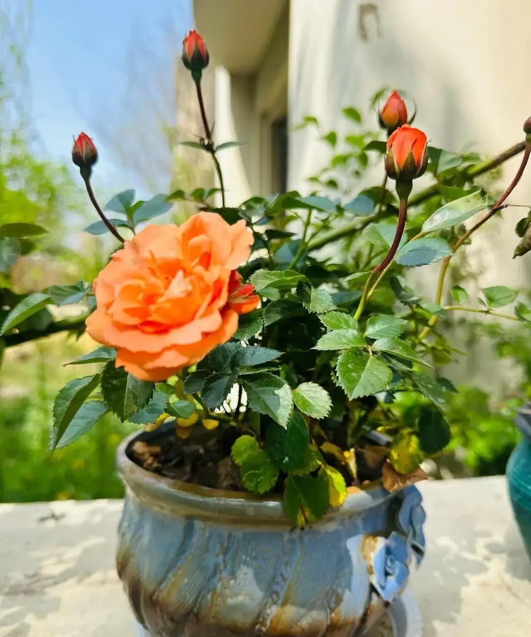 老李见完那个保洁大姐，回家就把微信删了。大姐人挺利索，说话也直，见面十分钟就摊