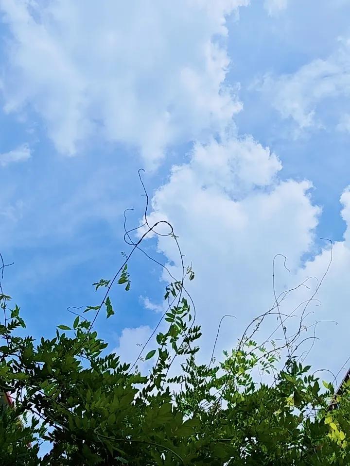 晒图笔记大赛阳光明媚，微风不燥，这样的下午，很惬意