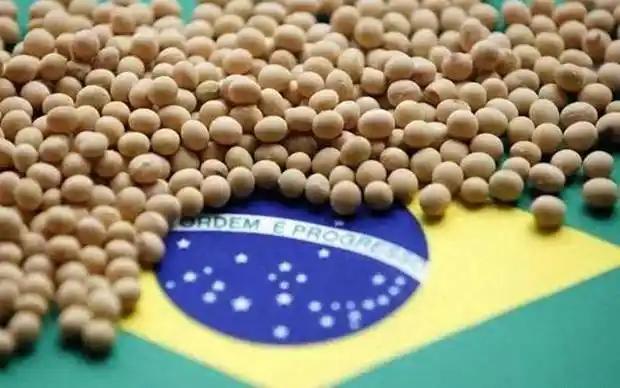 一夜之间，巴西沉没了，巴西大豆价格攀升至650美元/吨，这让巴西大豆商欣喜不已，