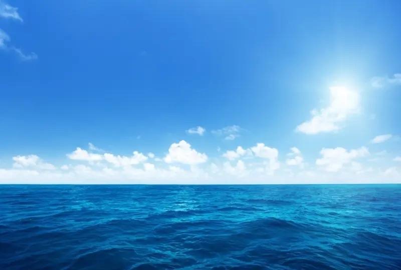 高手都是先放生自己，再放生身边的人，然后放生万物。你需要唤醒自己，修炼自己。不用