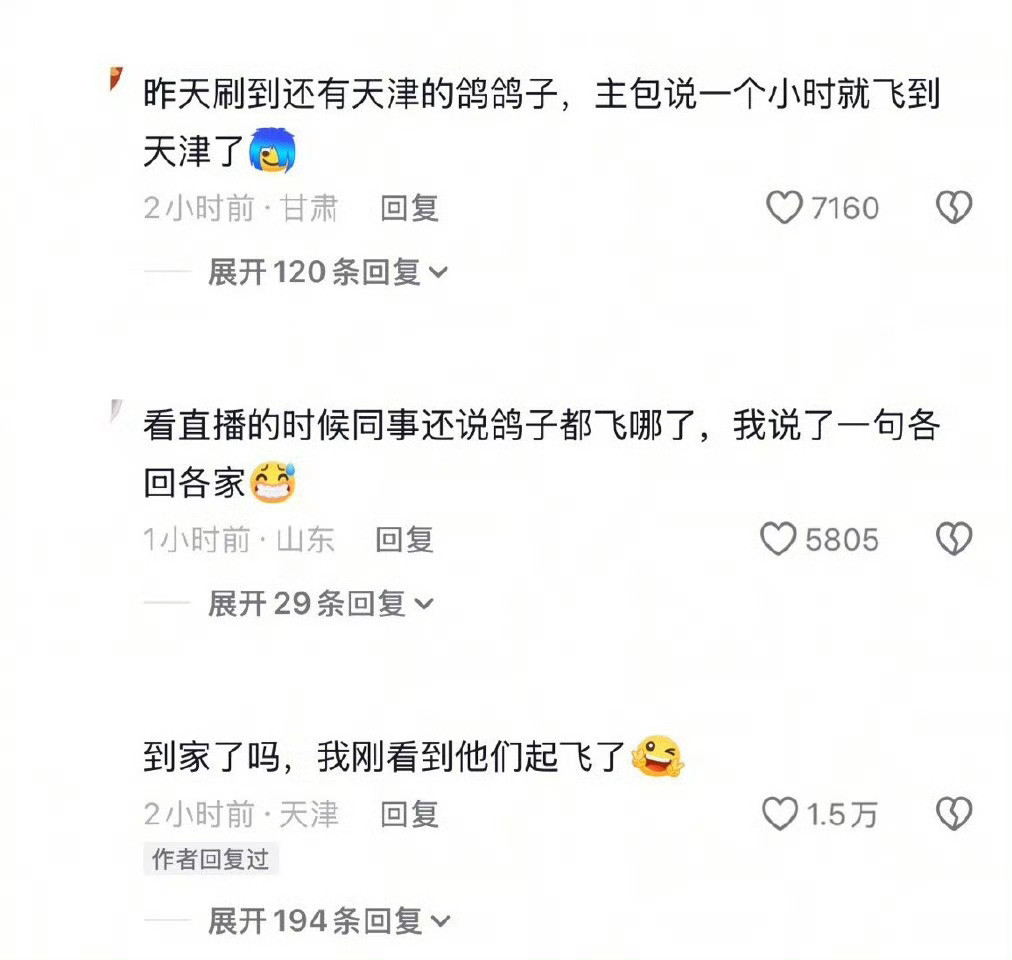 原来和平鸽是这么被选上的这张图挺帅的，适合当壁纸今天阅兵挺多有意思的背后故事比如