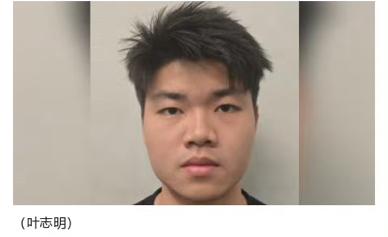 这个马来西亚华裔小伙应该是最倒霉的电诈分子之一，主动投身电诈阵营，试工三天毫无业