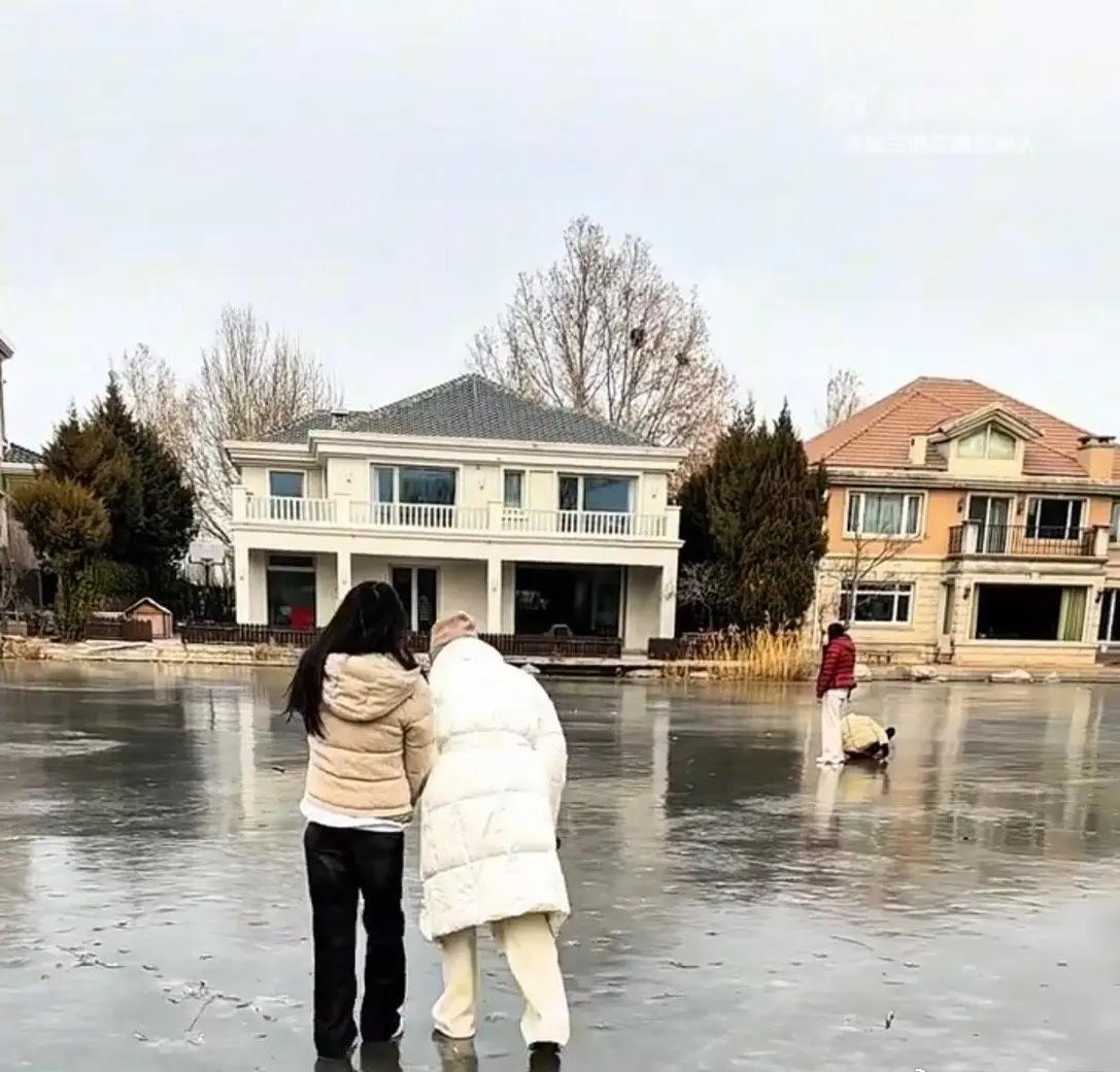 一大早起来再次看了张兰和汪小菲两个孩子小玥儿霖霖奶孙三人在一起玩耍的照片，看到小