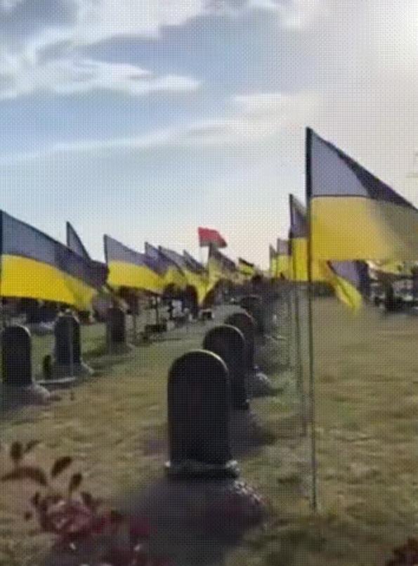 钱到位，人就到位，命也能外卖？有人在乌克兰红军城战场上，负责打扫残局、回收遗体，