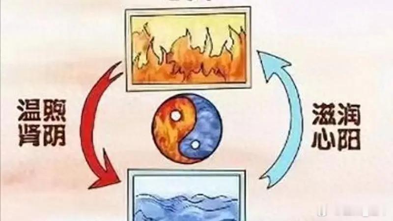 这碗“乌发汤”我喝了1个月，头发掉得少了，黑亮了些！​​黑豆30克、黄精15克、