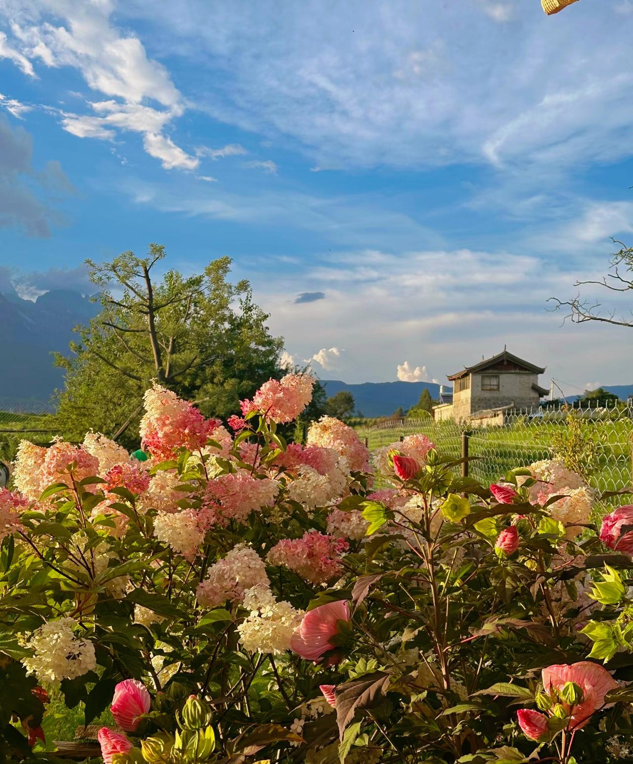 弘一法师说：“心有多好，命就有多好；心有多静，福就有多深。吉人自有天相，心善则貌