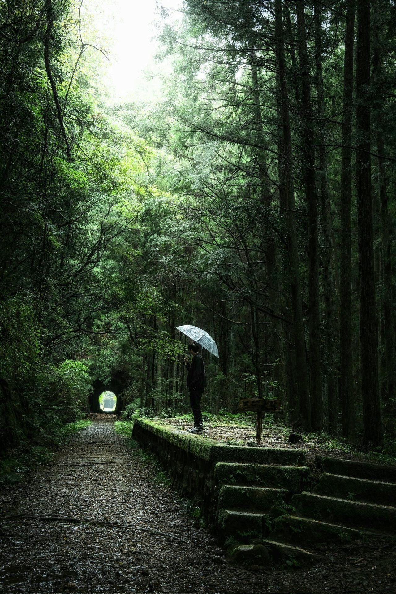上联：林间听雨忘尘事，下联：檐前揽月醉清风，下联：陌上观花念故人。