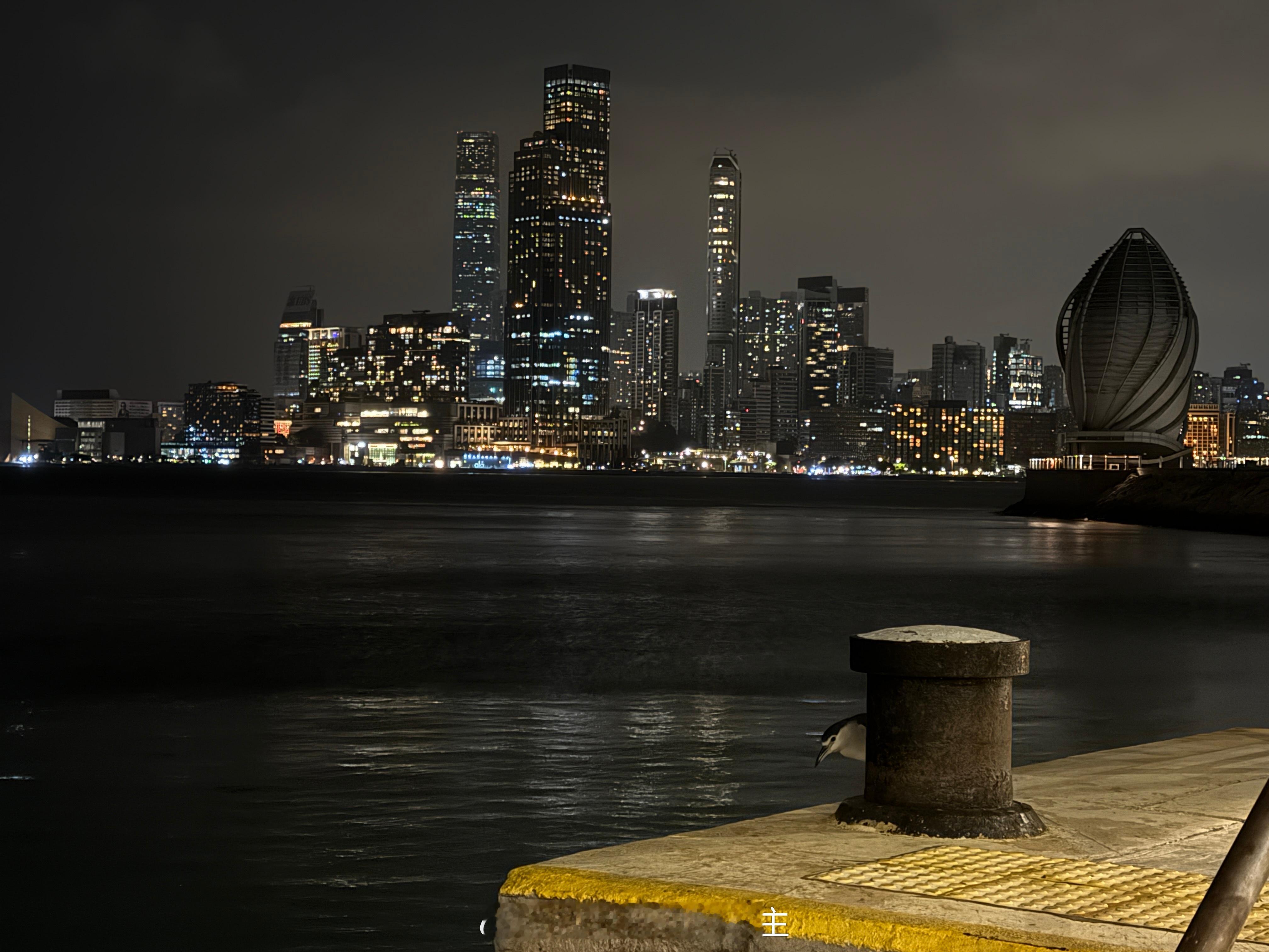 这是企鹅么？🐧香港·铜锣湾