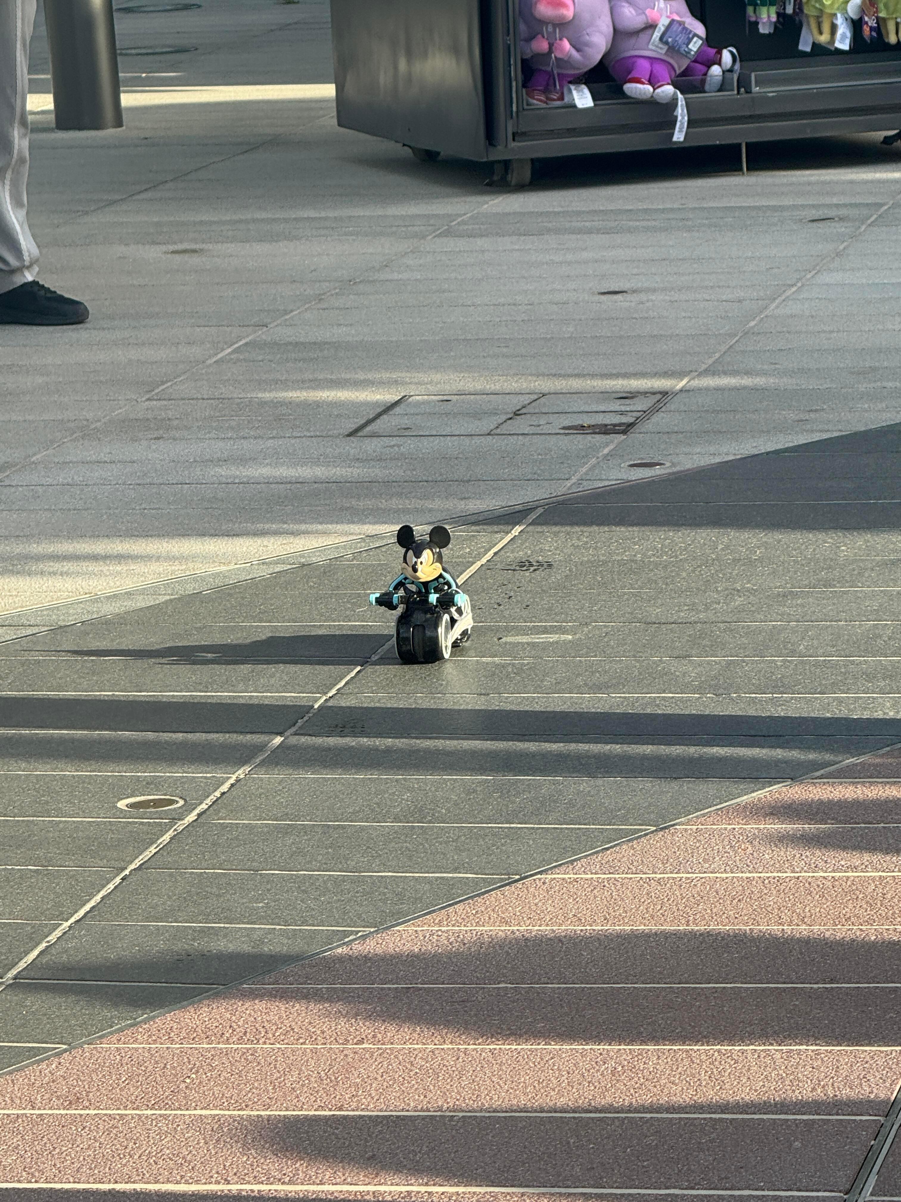 迪士尼卫生不行啊路上老鼠乱窜