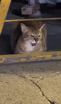 眼神中充满愤恨，但是无能为力！