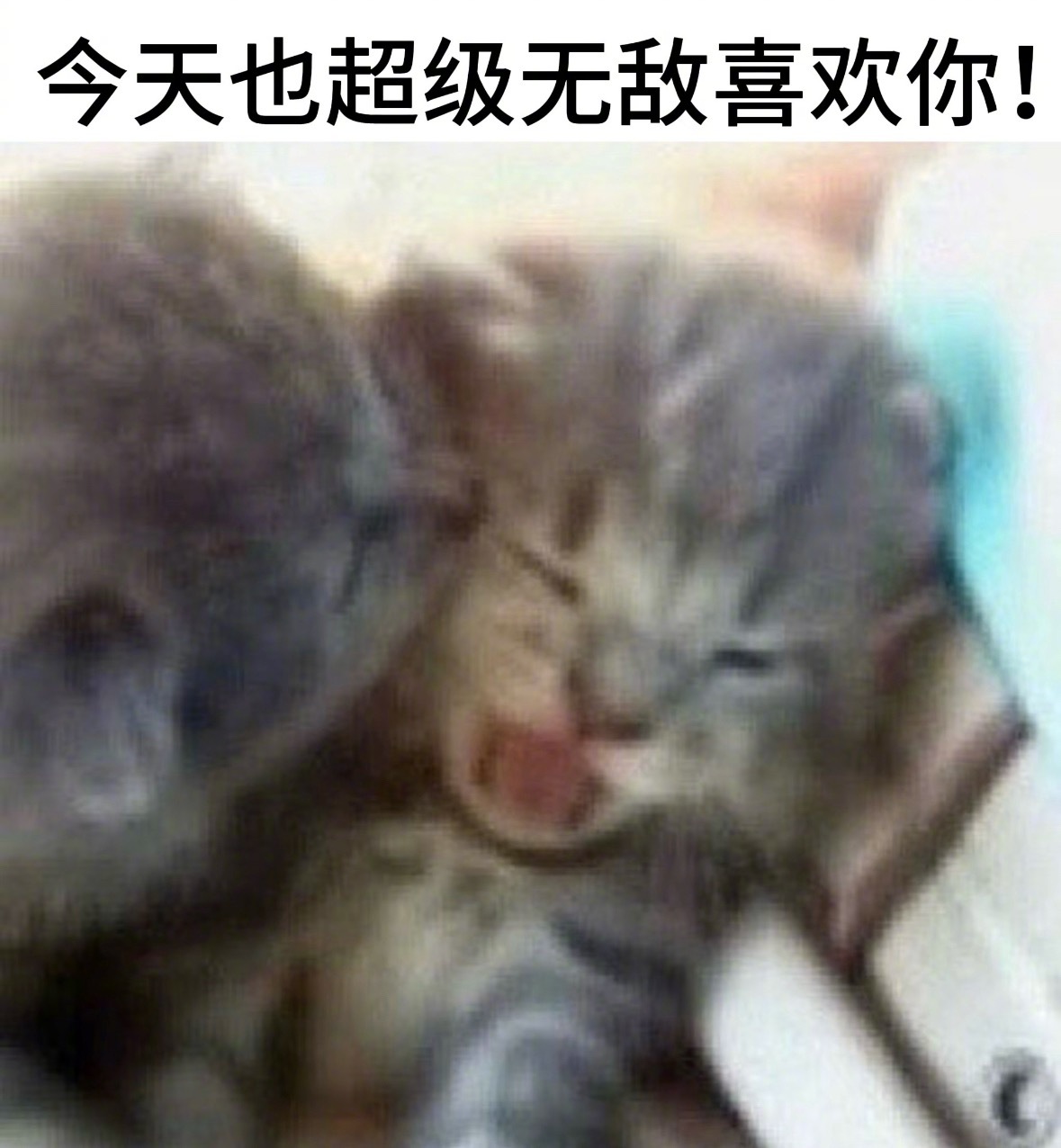 当你谈了个高需求宝宝合集