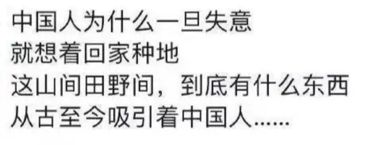 中国人为什么一旦失意就想着回家种地​​​