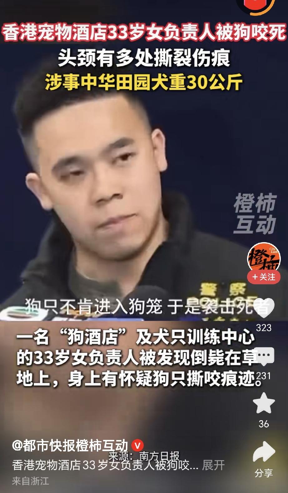 香港那个被自己养的狗活活咬死，可怜吗？本来是有钱有闲的人，应该享受美好年华，比世