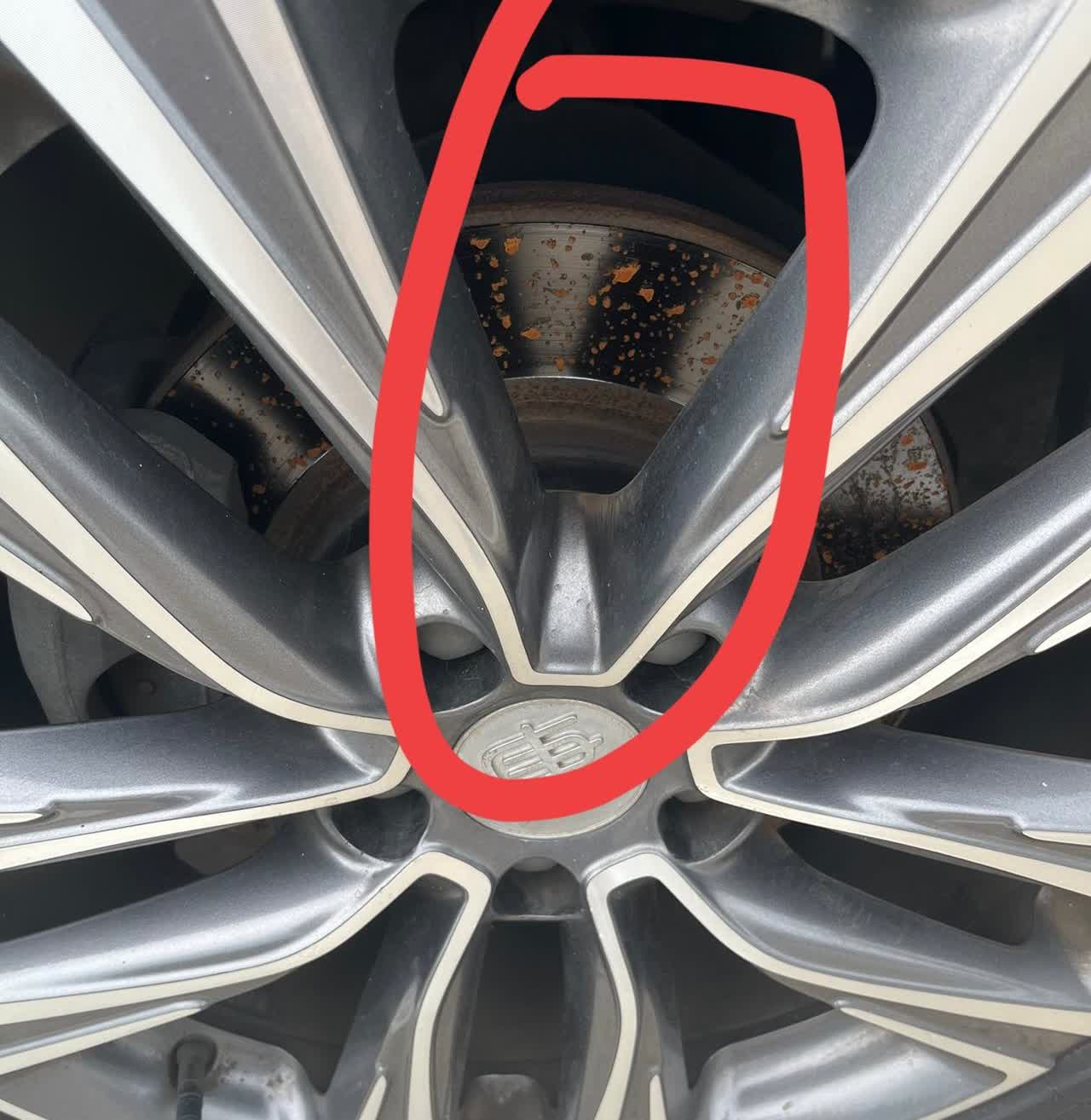 比亚迪的车，这里真的会生锈啊，我今天看到同事的比亚迪·唐这样，彻底惊呆了，赶紧去