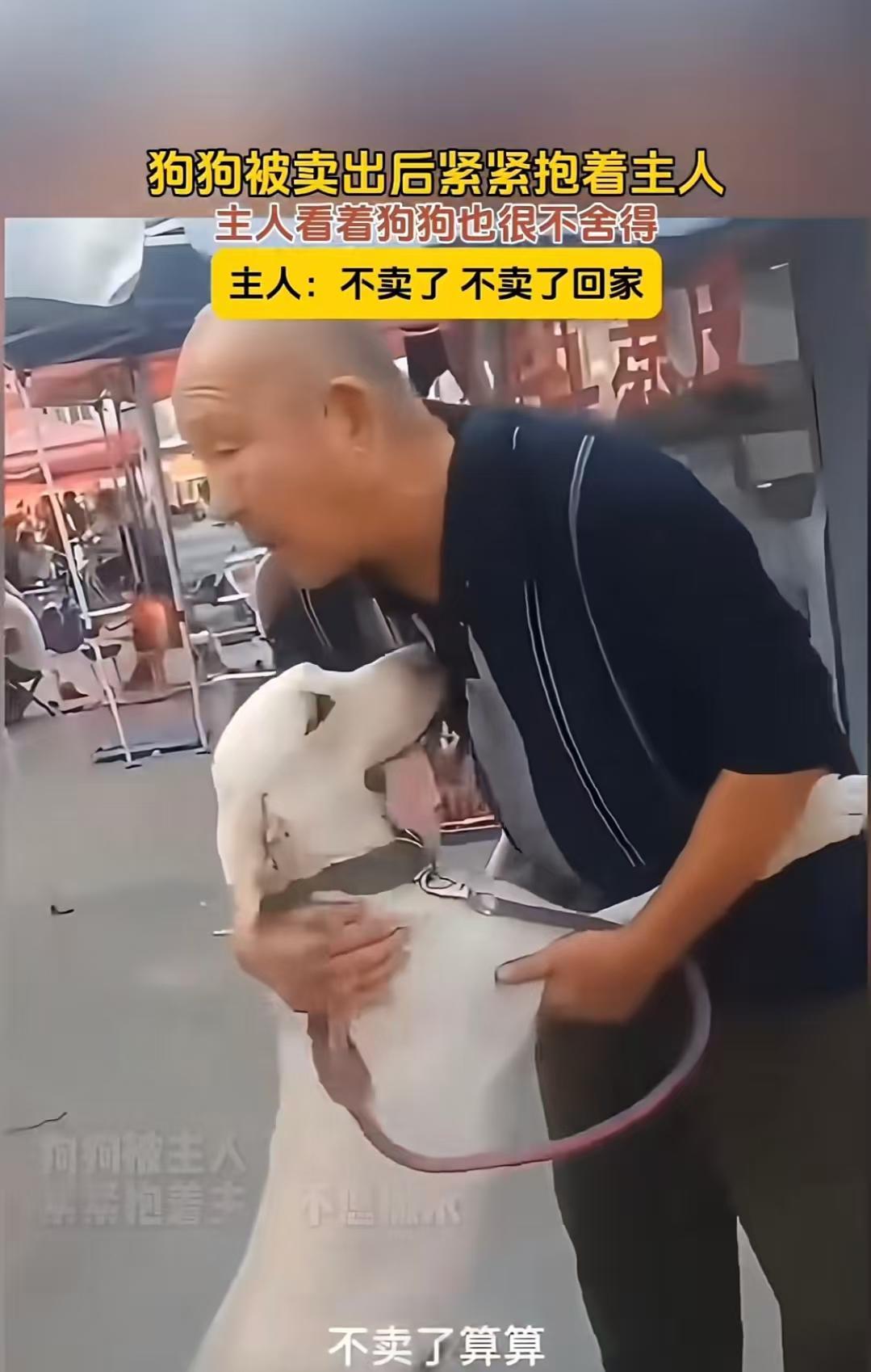 泪目了！12月17日报道，一位大哥因为搬家，不方便带狗狗走，他只好忍痛带着养了几