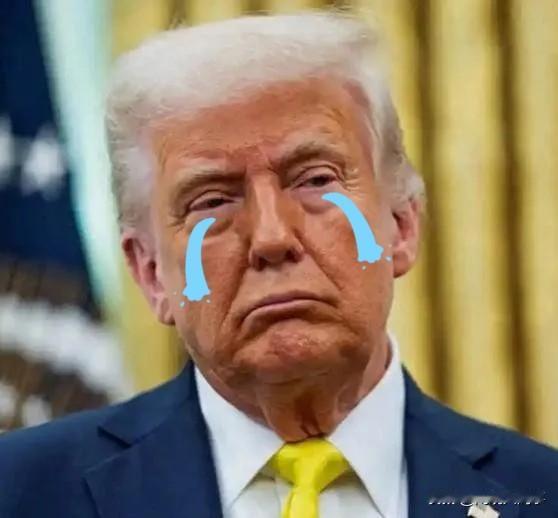 《特朗普火速赶往联合国，终于醒悟：中国早已准备就绪，他再不敢犹豫》白宫那边刚放出