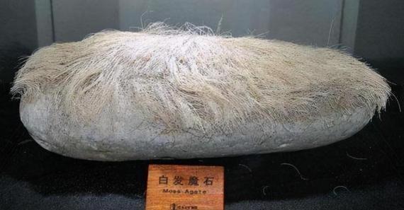 1987年，青岛，一男子花1.8万买了1块长着“白毛”的石头。妻子骂他傻，欲把石
