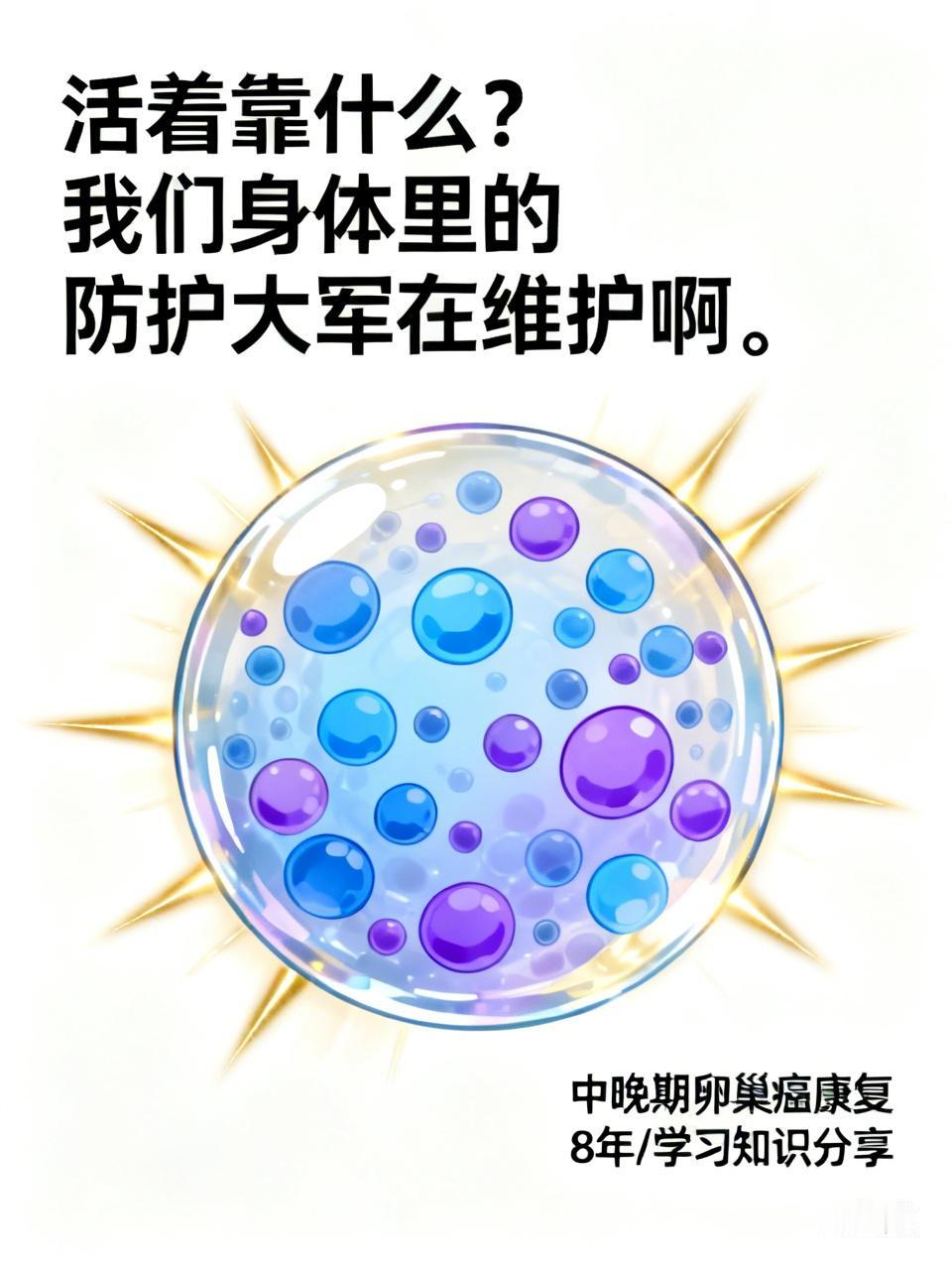 化疗能承受多少次，因人而异。我看到过有人化疗进入第四次就垮了。(全身气管衰竭)
