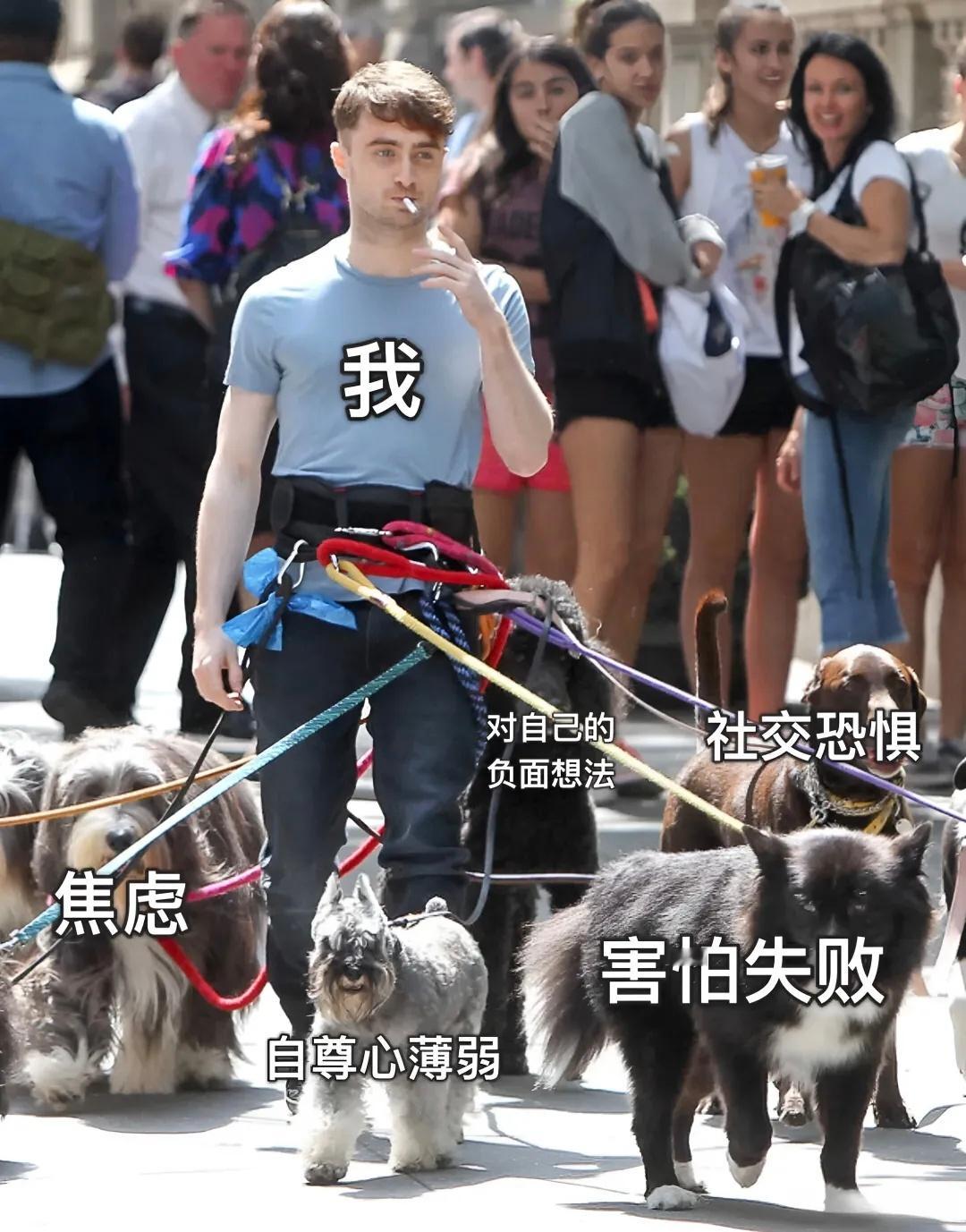 悲观像是我一生的宿命memes